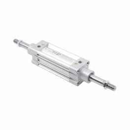 Пневмоцилиндр DMCAD-100-600 Pemaks