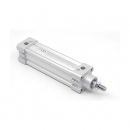 Пневмоцилиндр PNY-100-300 Pemaks